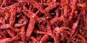 Kashmiri Dried Red Chilli