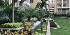 Commercial Apartment Garden Making Service
