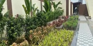 Commercial Garden Maintenance Service