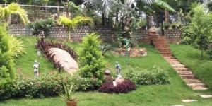 Farmhouse Garden Maintenance Service