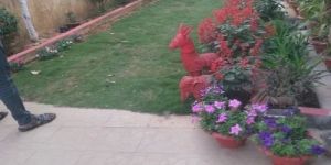 Home Gardening Services