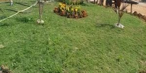 Office Garden Maintenance Services