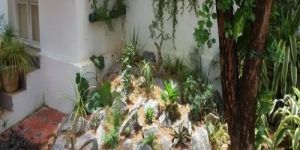 Rock Garden Maintenance Services