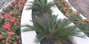 roof top border garden landscaping services