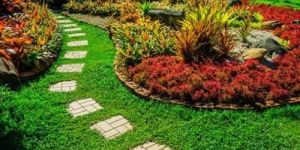 Tropical Garden Landscaping Services