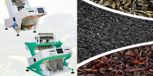 Tea Color Sorter