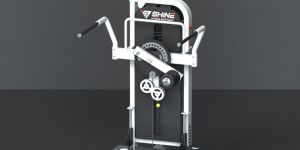 Multi Hip Machine
