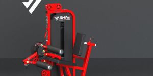 Seated Leg Curl & Leg Extension Combo