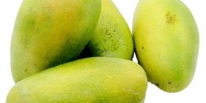 Fresh Dasheri Mango
