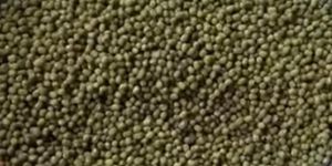 Green Moong Dal