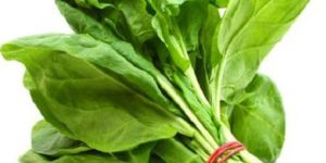 A Grade Fresh Spinach