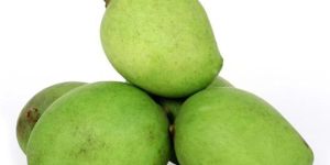 Fresh Raw Mango for Pickle
