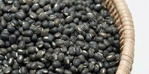 Whole Urad Dal
