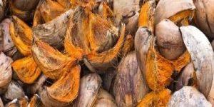 Coconut Husk