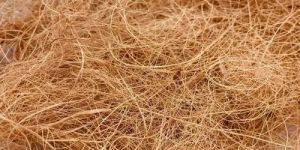 Coir Fiber