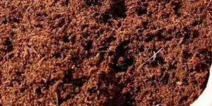 Coir Pith Powder