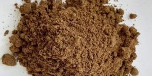 Gloriosa Superba Extract