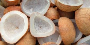 Milling Copra Coconut