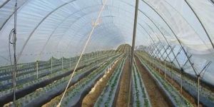 Farming Mulching Film