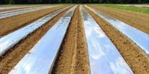 Flat Mulching Film