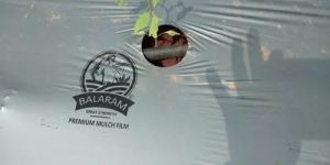 Silver Mulching Paper