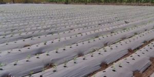 UV Stabilized Mulching Film