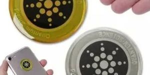 Shiny Anti Radiation Chip