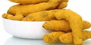 Lakadong Turmeric Finger