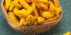 Nizamabad Turmeric Finger