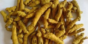 Polished Turmeric Finger