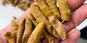 Pragati Turmeric Finger