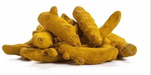 Unpolished Turmeric Finger