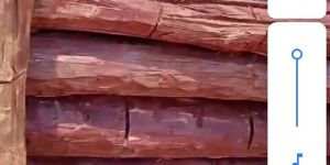 Red Sandlewood