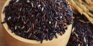 Organic Black Rice