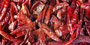 a Grade Dry Red Chilli