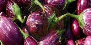 a Grade Fresh Brinjal
