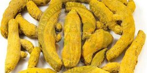 A Grade Turmeric Finger