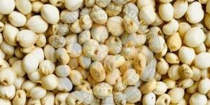 Sorghum Millet Seeds