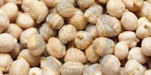 White Kabuli Chana