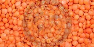 Whole Red Masoor Dal