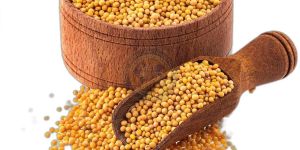 Yellow Mustard Seeds