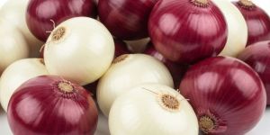 Fresh Onion