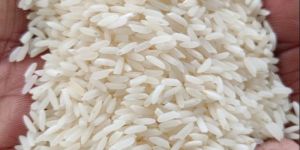Raw Lachkari Kolam Rice