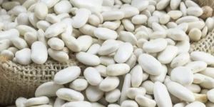 White Kidney Beans