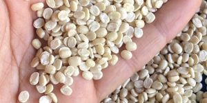 White Urad Dal