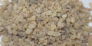 Boswellia Serrata