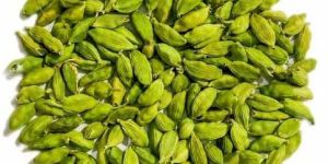 Bold Green Cardamom