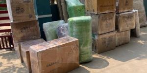Domestic Packers and Movers