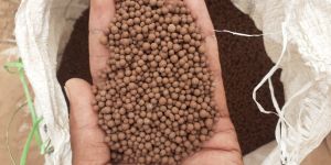 organic bentonite granule