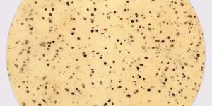 Urad Dal Papad